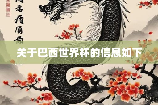 关于巴西世界杯的信息如下