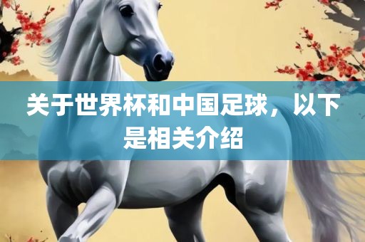 关于世界杯和中国足球，以下是相关介绍