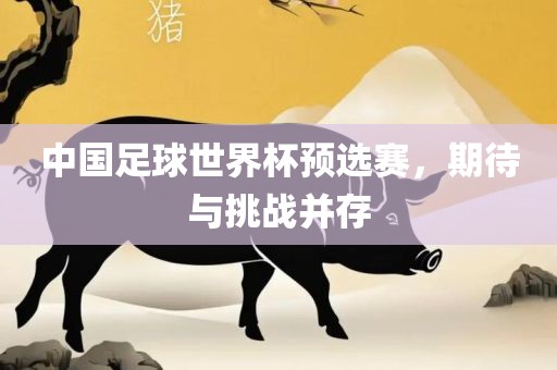 中国足球世界杯预选赛，期待与挑战并存