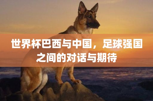 世界杯巴西与中国，足球强国之间的对话与期待