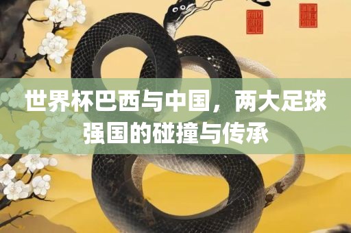 世界杯巴西与中国，两大足球强国的碰撞与传承