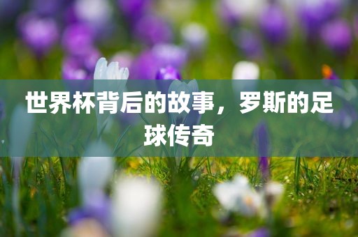世界杯背后的故事，罗斯的足球传奇