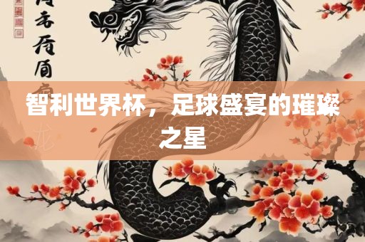 智利世界杯，足球盛宴的璀璨之星