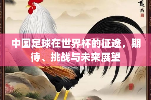 中国足球在世界杯的征途，期待、挑战与未来展望