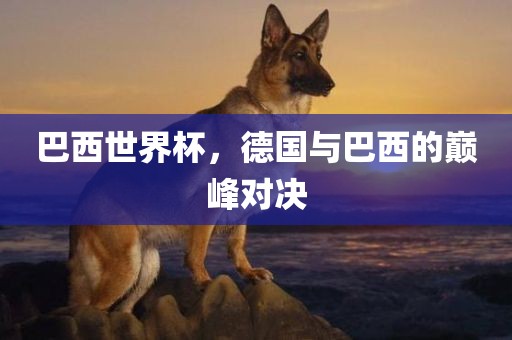 巴西世界杯，德国与巴西的巅峰对决