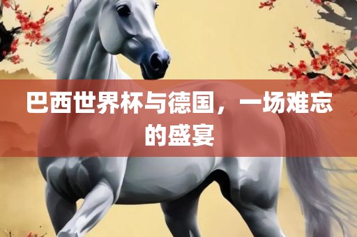 巴西世界杯与德国，一场难忘的盛宴