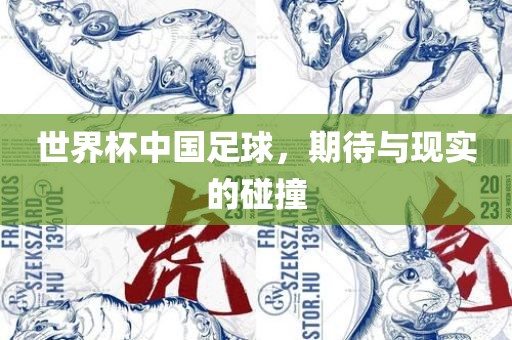 世界杯中国足球，期待与现实的碰撞
