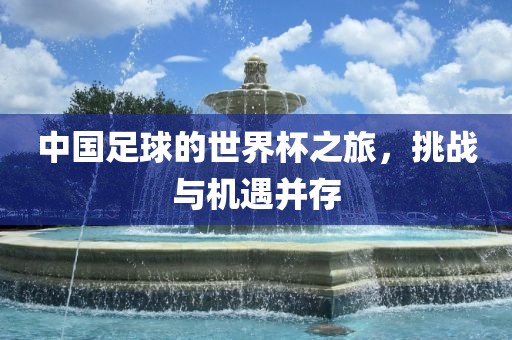 中国足球的世界杯之旅，挑战与机遇并存