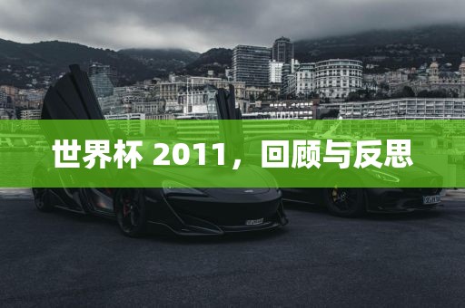 世界杯 2011，回顾与反思