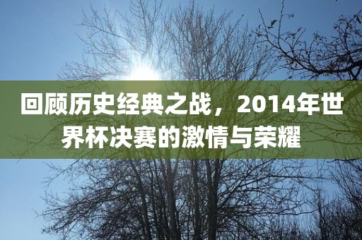 回顾历史经典之战，2014年世界杯决赛的激情与荣耀