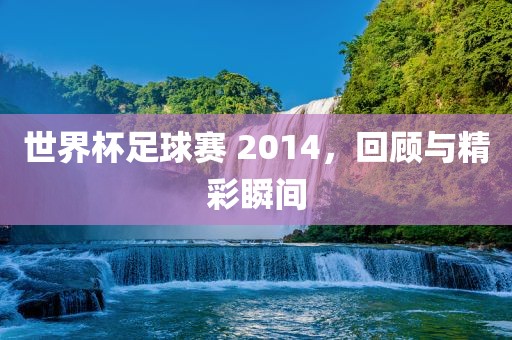 世界杯足球赛 2014，回顾与精彩瞬间