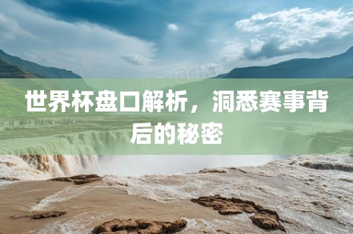 世界杯盘口解析，洞悉赛事背后的秘密