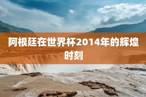 阿根廷在世界杯2014年的辉煌时刻