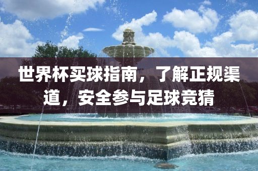 世界杯买球指南，了解正规渠道，安全参与足球竞猜