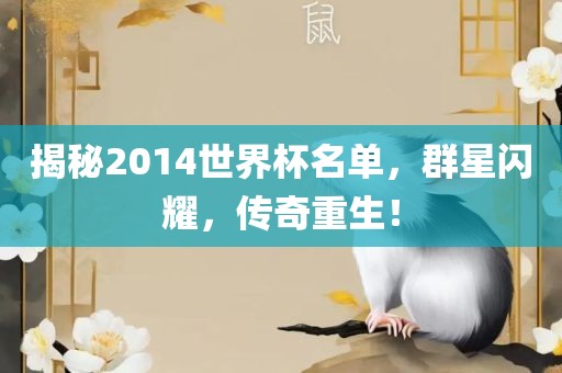 揭秘2014世界杯名单，群星闪耀，传奇重生！