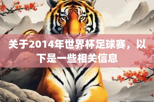 关于2014年世界杯足球赛，以下是一些相关信息