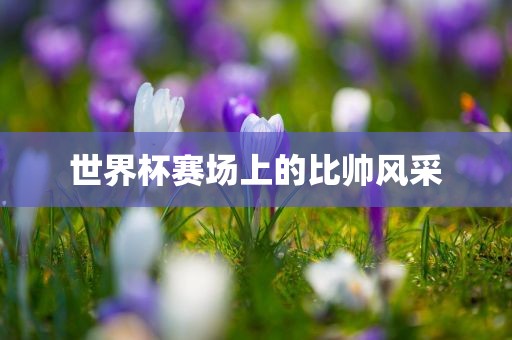 世界杯赛场上的比帅风采