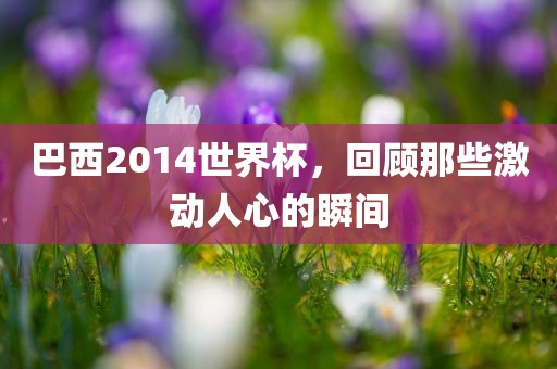 巴西2014世界杯，回顾那些激动人心的瞬间