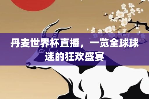 丹麦世界杯直播，一览全球球迷的狂欢盛宴
