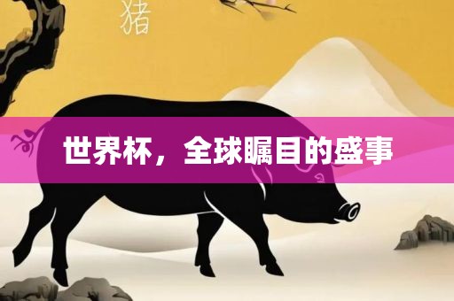 世界杯，全球瞩目的盛事