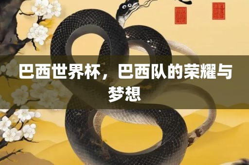 巴西世界杯，巴西队的荣耀与梦想