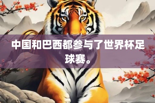 中国和巴西都参与了世界杯足球赛。