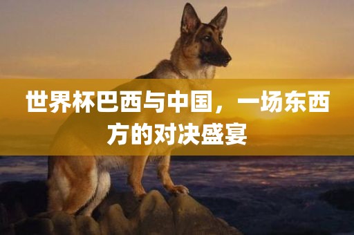 世界杯巴西与中国，一场东西方的对决盛宴