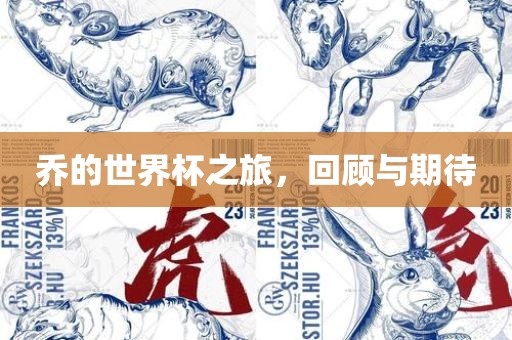 乔的世界杯之旅，回顾与期待