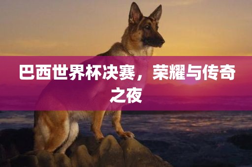 巴西世界杯决赛，荣耀与传奇之夜