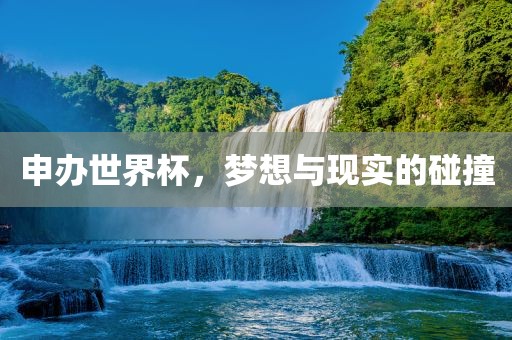 申办世界杯，梦想与现实的碰撞