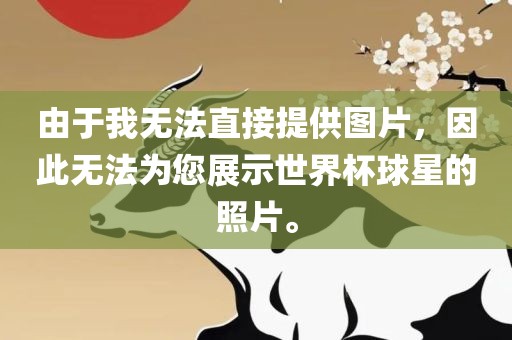 由于我无法直接提供图片，因此无法为您展示世界杯球星的照片。