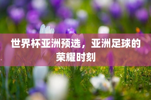 世界杯亚洲预选，亚洲足球的荣耀时刻
