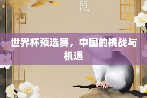 世界杯预选赛，中国的挑战与机遇