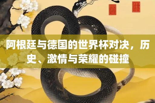 阿根廷与德国的世界杯对决，历史、激情与荣耀的碰撞