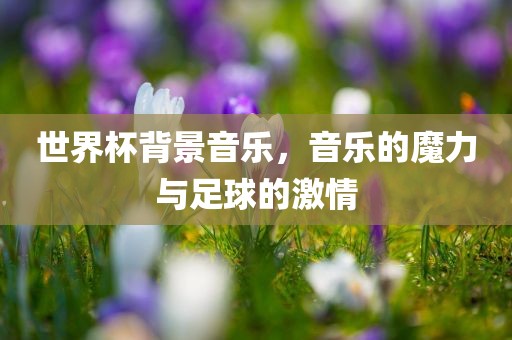 世界杯背景音乐，音乐的魔力与足球的激情