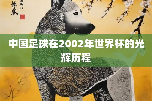 中国足球在2002年世界杯的光辉历程