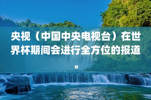 央视（中国中央电视台）在世界杯期间会进行全方位的报道。