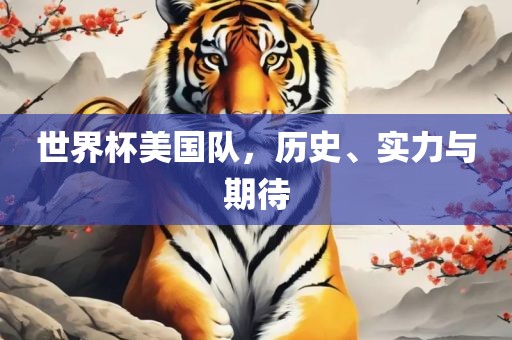 世界杯美国队，历史、实力与期待