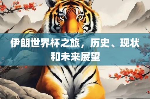 伊朗世界杯之旅，历史、现状和未来展望