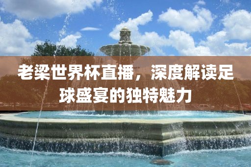 老梁世界杯直播，深度解读足球盛宴的独特魅力