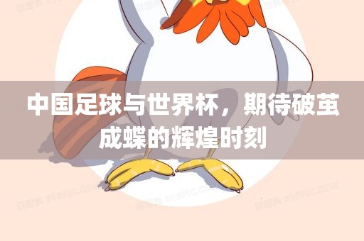 中国足球与世界杯，期待破茧成蝶的辉煌时刻