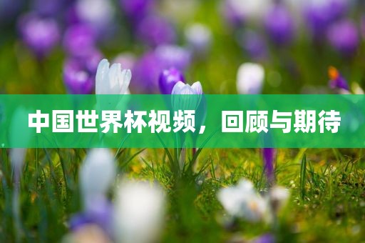 中国世界杯视频，回顾与期待