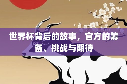 世界杯背后的故事，官方的筹备、挑战与期待