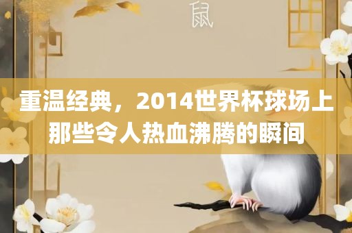 重温经典，2014世界杯球场上那些令人热血沸腾的瞬间