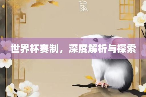 世界杯赛制，深度解析与探索