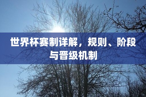 世界杯赛制详解，规则、阶段与晋级机制