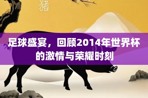 足球盛宴，回顾2014年世界杯的激情与荣耀时刻