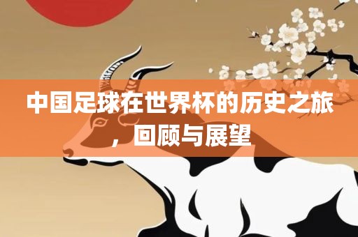 中国足球在世界杯的历史之旅，回顾与展望