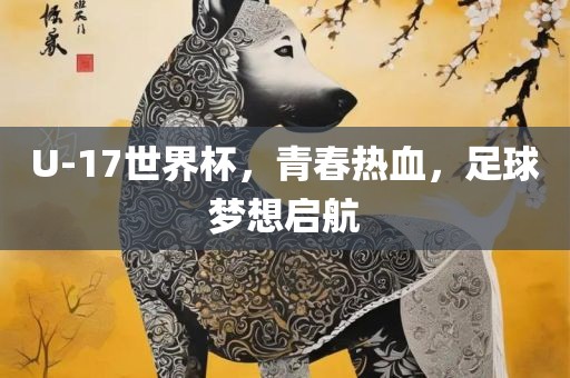 U-17世界杯，青春热血，足球梦想启航