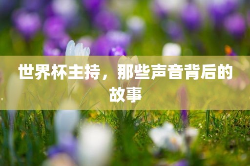 世界杯主持，那些声音背后的故事
